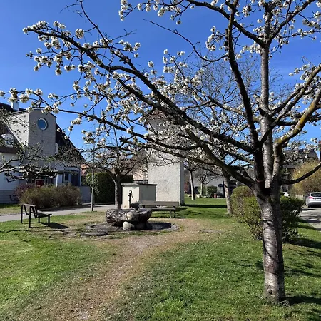 Seeglueck Seeblau - Moderne Maisonette-wohnung Mit Balkon Und Parkplatz In Seenaehe In Konstanz-dingels-dorf